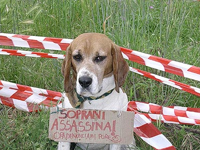 una persona interessata manifesta davanti alla Morini