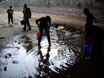 Salvataggio pesci 09/10/04