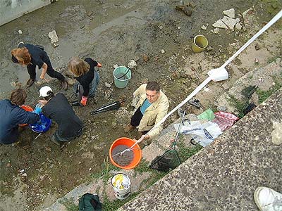 Salvataggio pesci 09/10/04