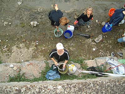 Salvataggio pesci 09/10/04