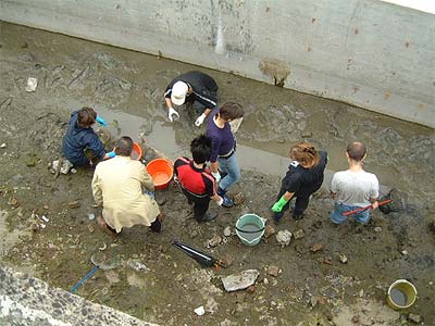 Salvataggio pesci 09/10/04