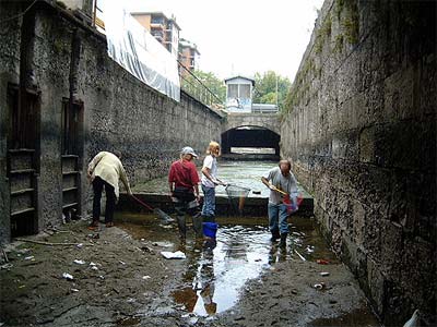 Salvataggio pesci 09/10/04