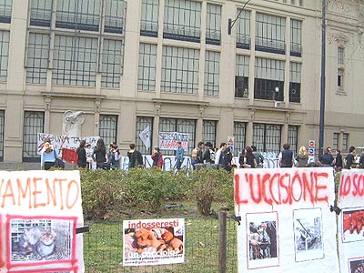 Manifestazione Mifur