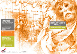 PieghevoleA5-Sperimentazione-fronte