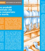 PieghevoleA5-Latte-interno1