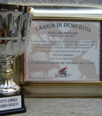 targa e coppa